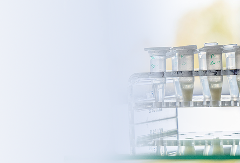 Reagenzgläser in einem Laborgestell, transparent, mit klarer Flüssigkeit gefüllt, in einer klinischen Chemieumgebung.