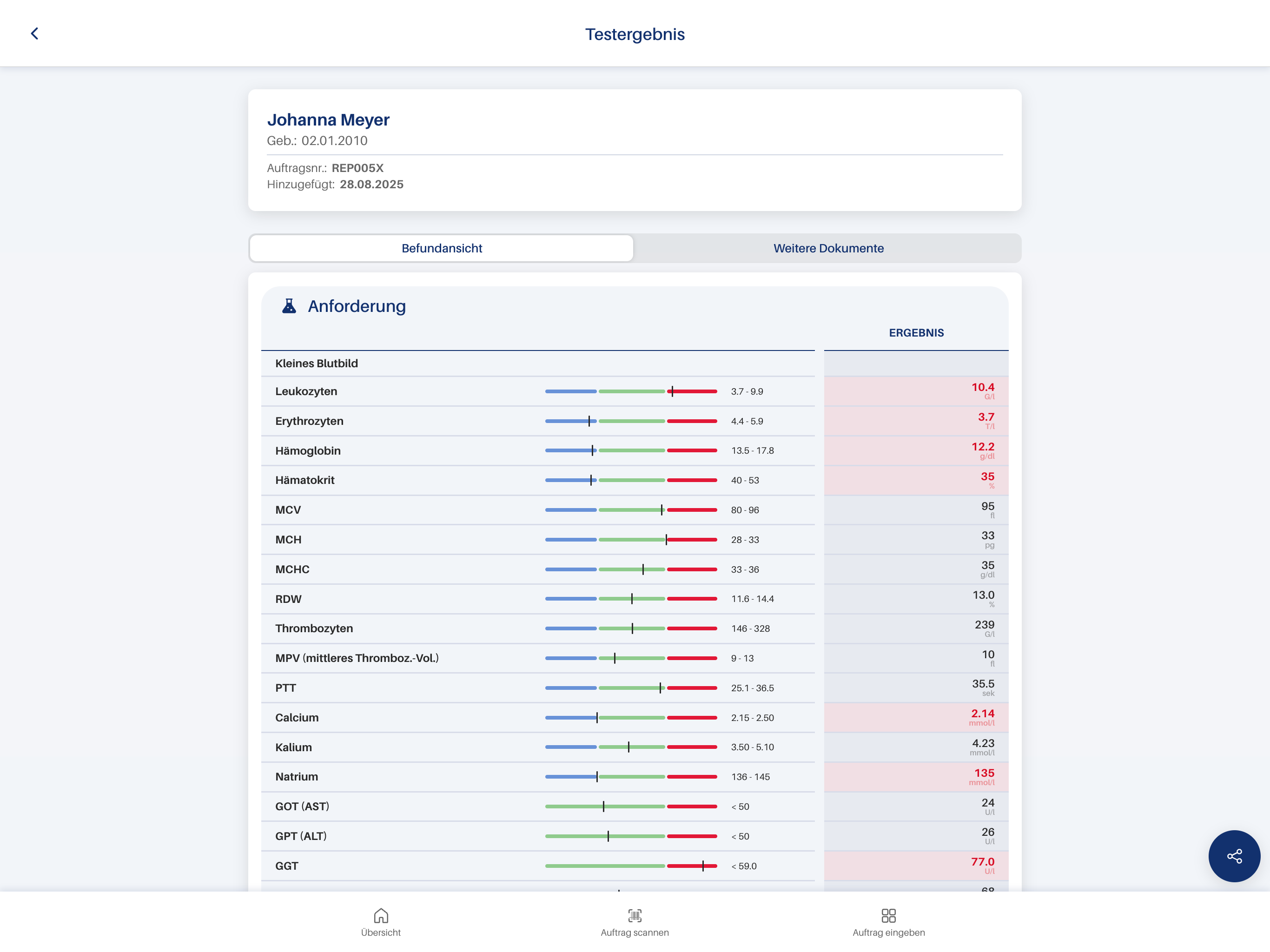 Beispiel Patienten App Befundansicht