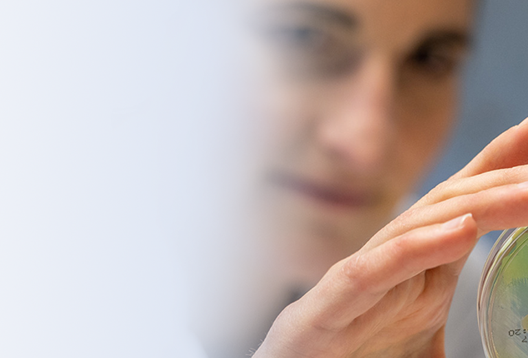 Laborantin hält eine Petrischale mit grünen und weißen Bakterienkulturen zur Umgebungsuntersuchung belebter und unbelebter Oberflächen