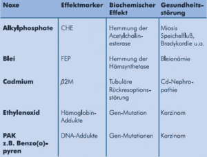 Tabelle mit biochemischen Effekten von Umweltnoxen. Spalten: Noxe, Effektmarker, Biochemischer Effekt, Gesundheitsstörung. Beispiele: Alkylphosphate hemmen Acetylcholinesterase, führen zu Miosis; Blei hemmt Hämsynthase, verursacht Bleianämie; Cadmium stört tubuläre Rückresorption, verursacht Cd-Nephropathie; Ethylenoxid und PAK (z.B. Benzo(a)pyren) verursachen Gen-Mutationen und Karzinome.