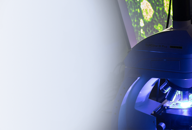 Eine Laborantin in einem weißen Laborkittel betrachtet Proben durch ein Mikroskop. Im Hintergrund sind Computerbildschirme sichtbar.