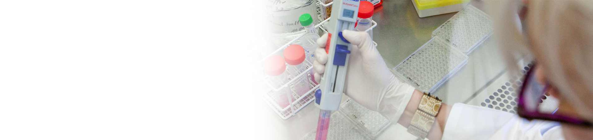 Serologie Fleximage (2)