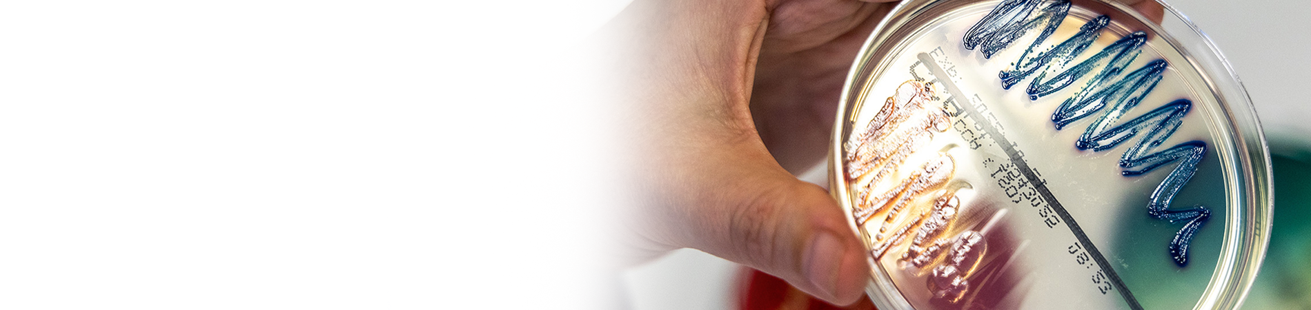 Hygiene Fleximage (1)