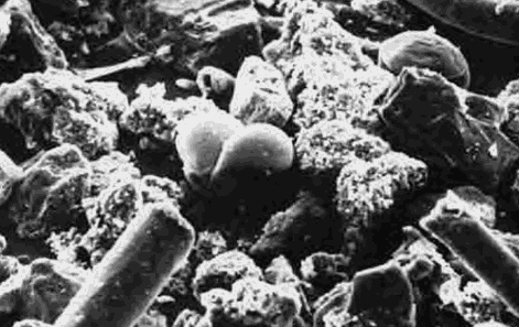 Schwarz-weiße Rasterelektronenmikroskopaufnahme von unregelmäßigen Partikeln und zwei kugelförmigen Strukturen in der Mitte