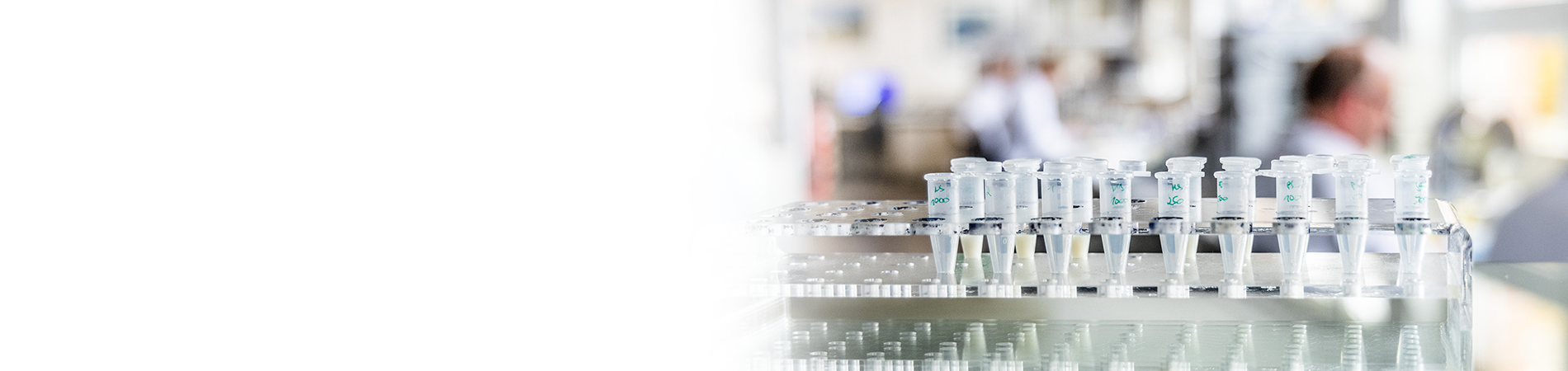 Stoffwechsel Fleximage (7)