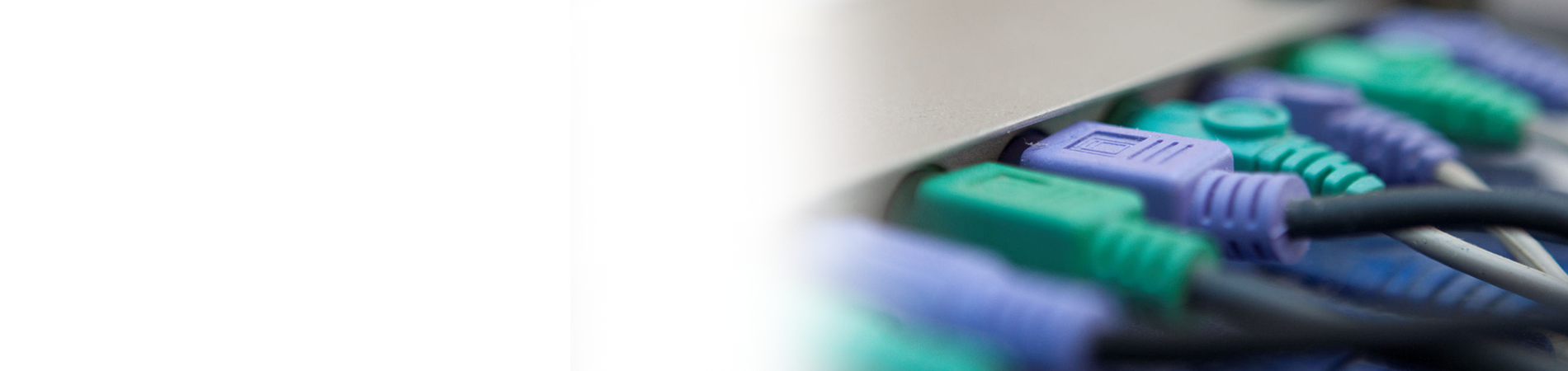 Onlineservice Fleximage